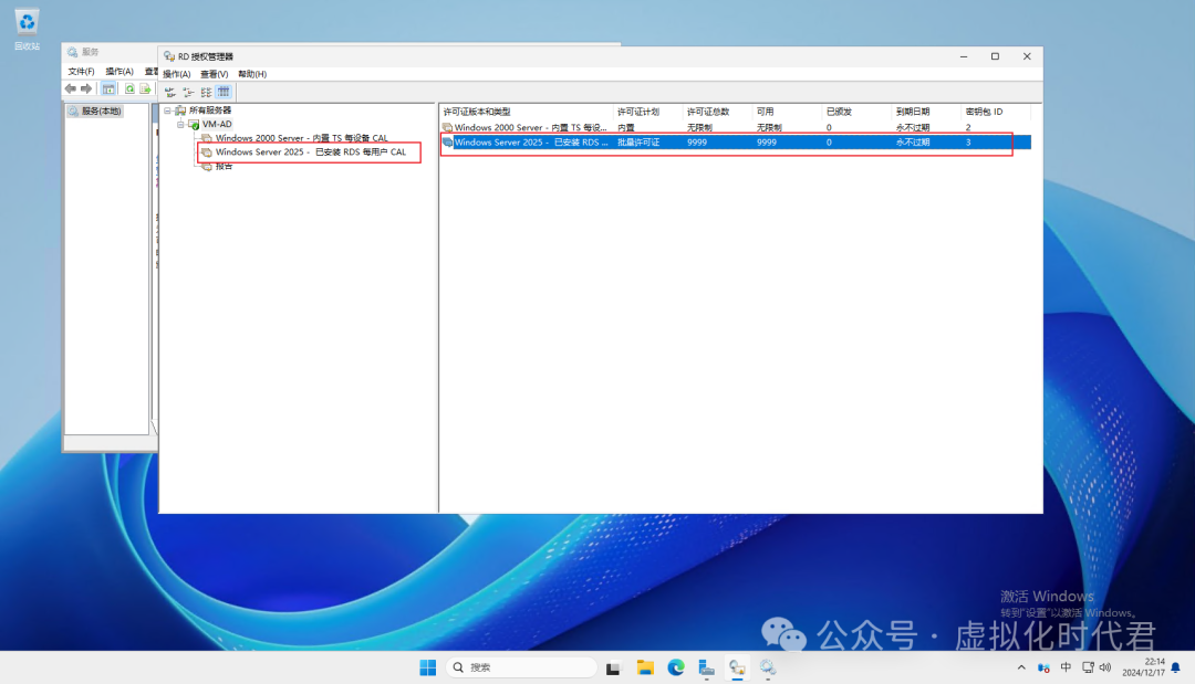 Windows Server2025远程桌面服务配置和授权激活(图31)